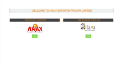 Desktop Screenshot of hailyexports.com